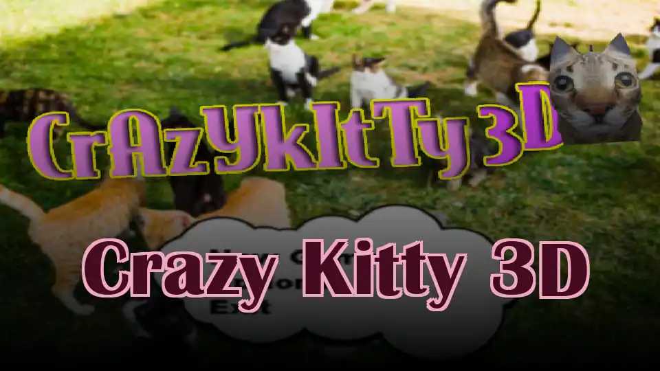 Crazy Kitty 3D
