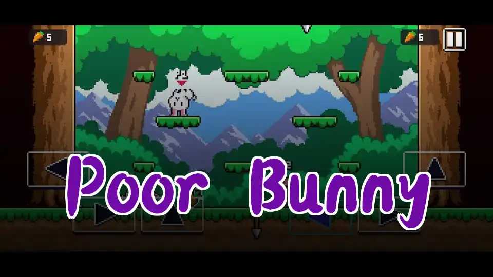 Poor Bunny